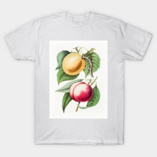 Hand drawn plum T-Shirt